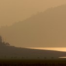 Elephants at dusk by the Ramganga